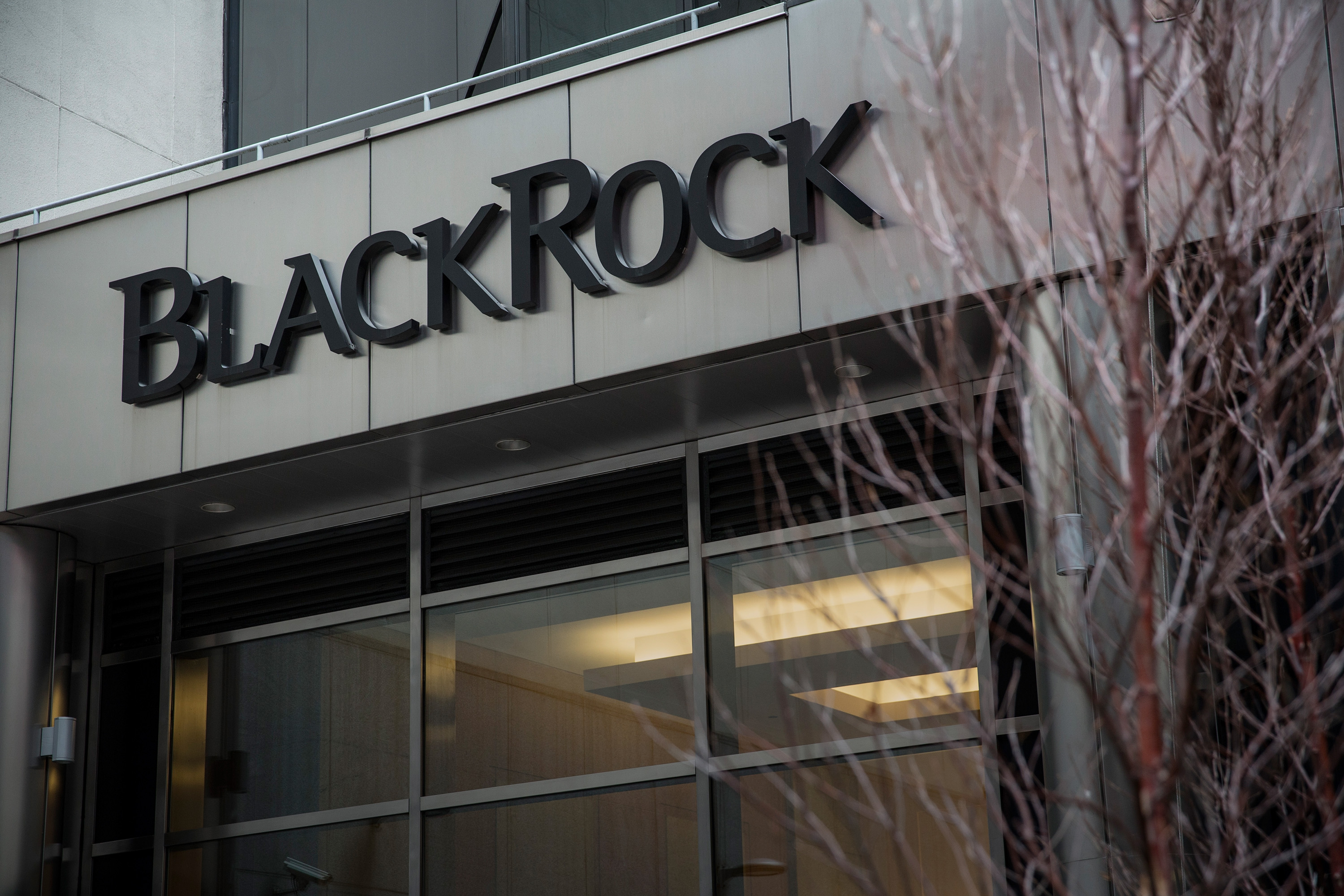 Larry Fink and Blackrock have just started a carbon avalanche…